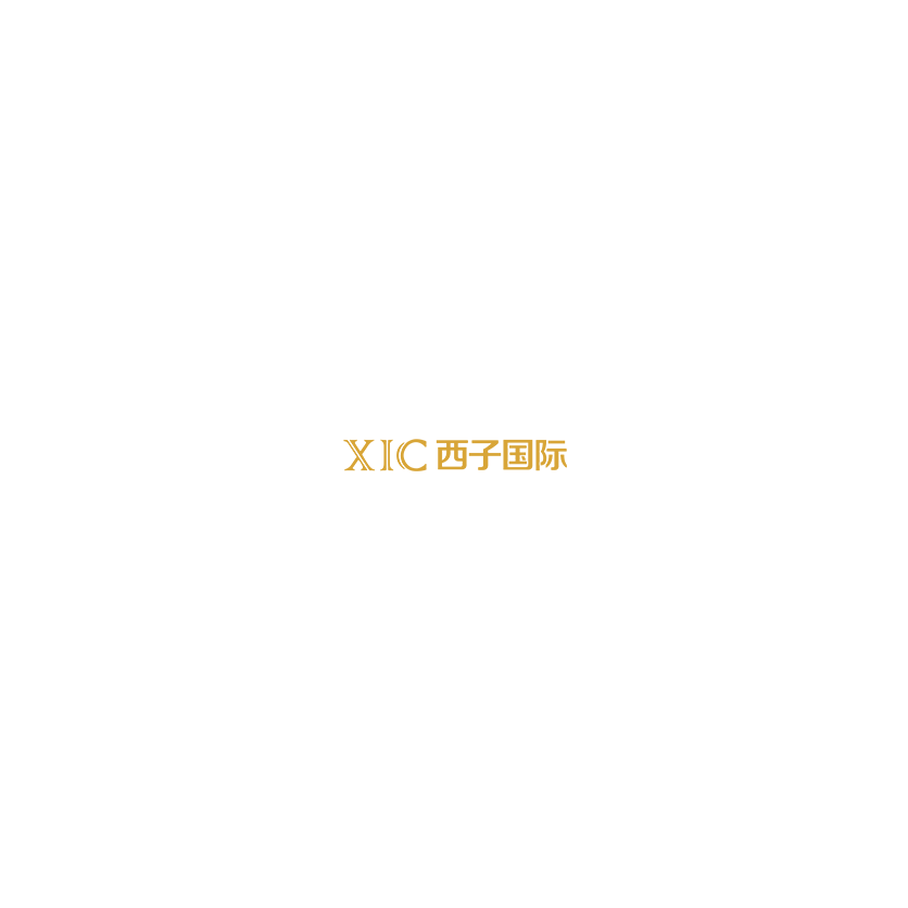 胜天国际
