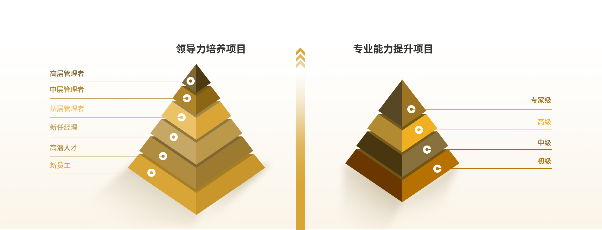 胜天国际