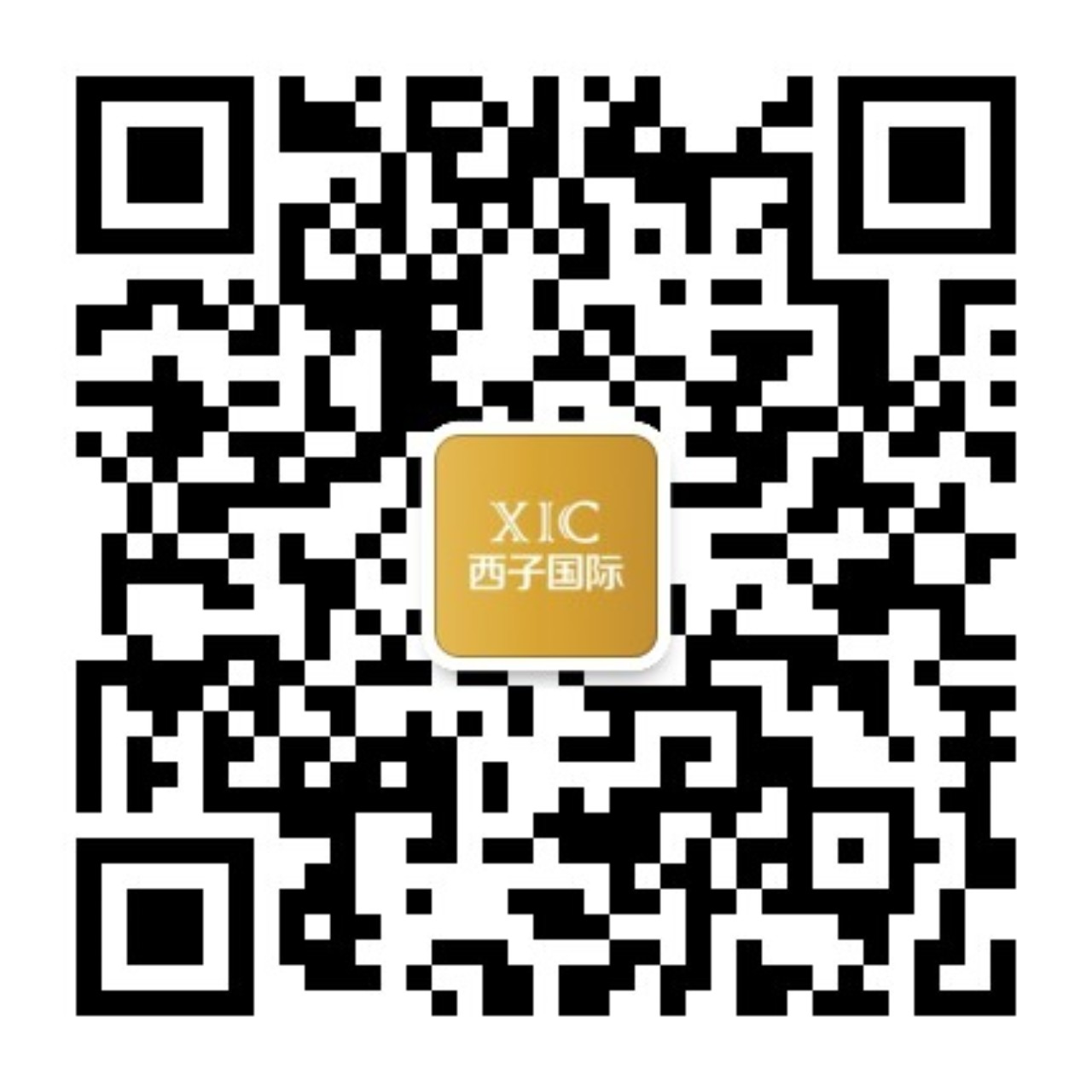 公众号