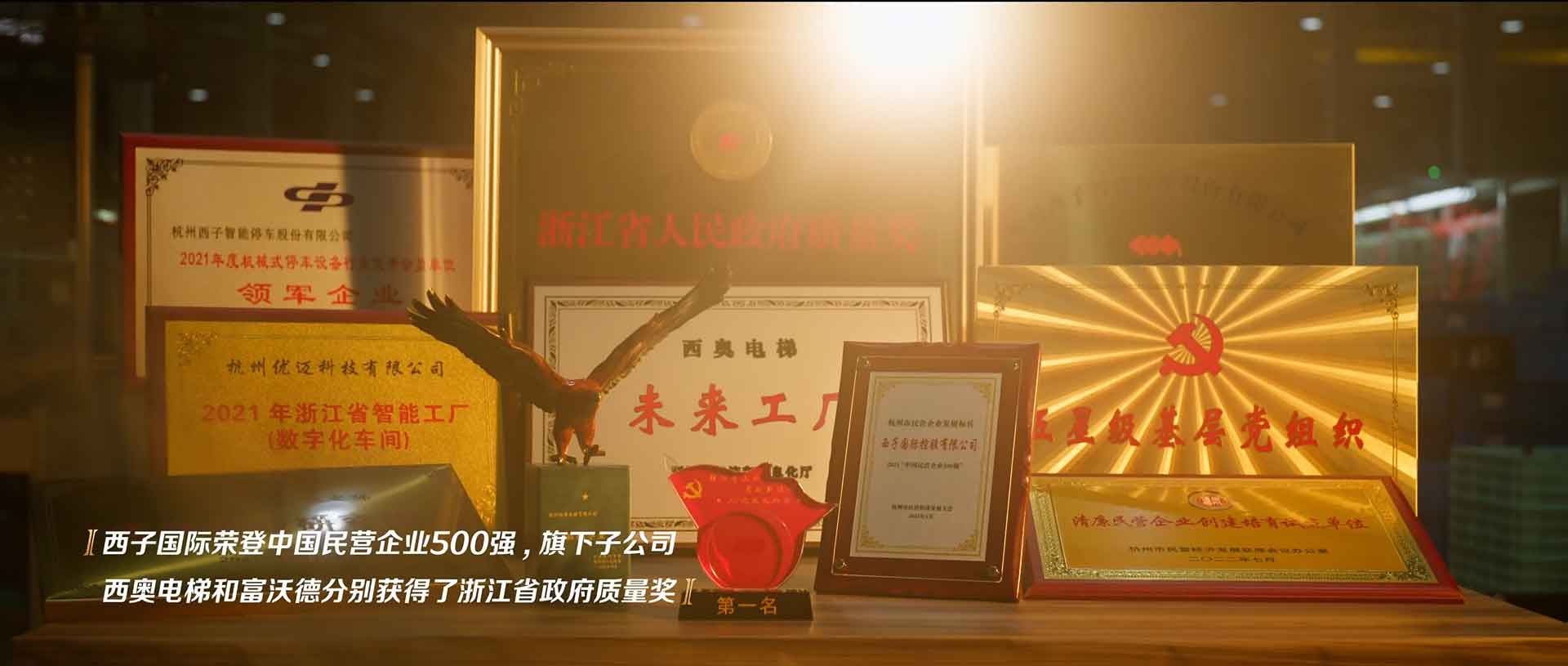 胜天国际